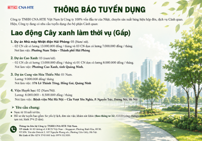 LAO ĐỘNG CÂY XANH LÀM THỜI VỤ (GẤP)